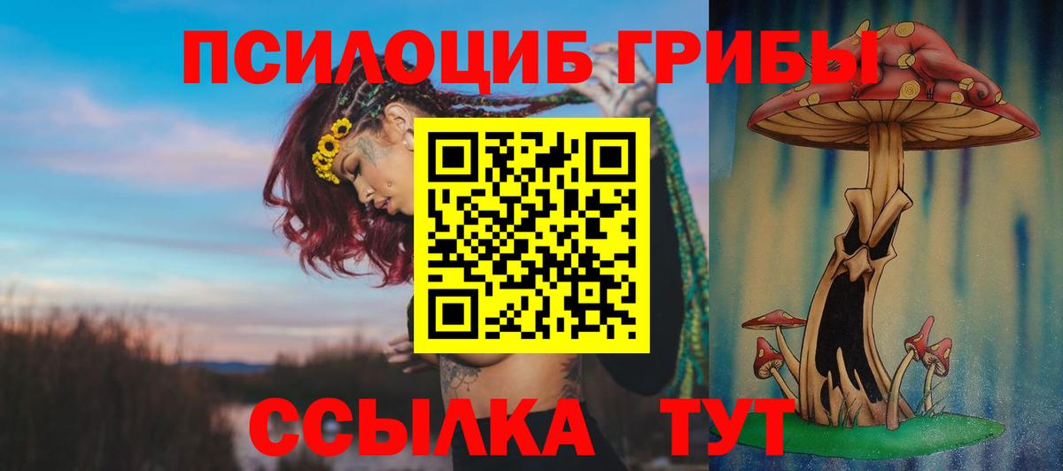 Псилоцибиновые грибы GOLDEN TEACHER Шали