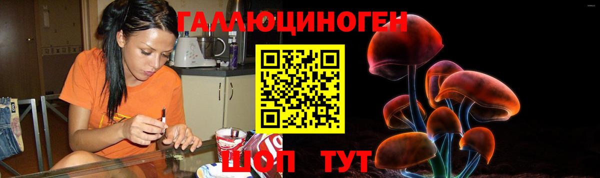 Шали  Псилоцибиновые грибы мицелий  что такое наркотик  Псилоцибиновые грибы Psilocybe  Вход с VPN 