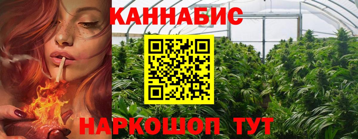 Шали  Шишки марихуана семена  Шишки марихуана сатива  Вход с VPN  Конопля конопля 